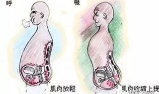 正确的提肛运动图解