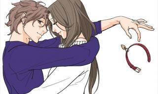 宠物情人电视剧2017