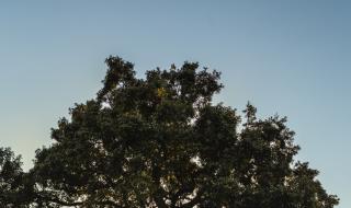 普法栏目剧听见凉山2 普法栏目剧听见凉山2