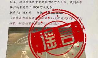 悬赏千万的狗已找到