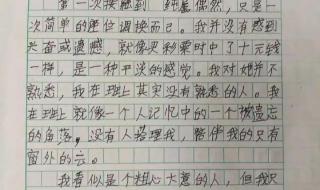 我的心爱之物400字