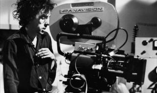 我将童话带出了黑暗 我将童话带出了黑暗