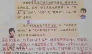 小学语文四年级下册 小学语文四年级下册